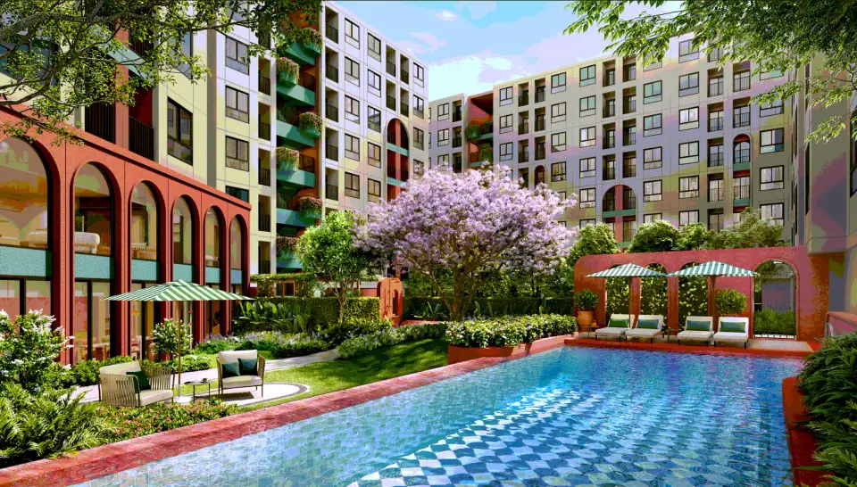 Dcondo Vite, ภาพ 5