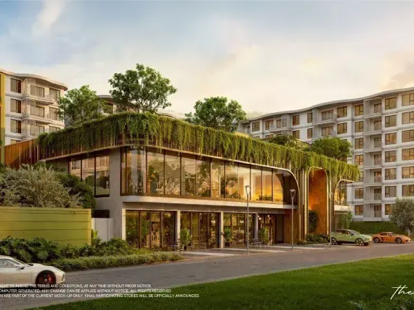 The Oliva, ภาพ 3